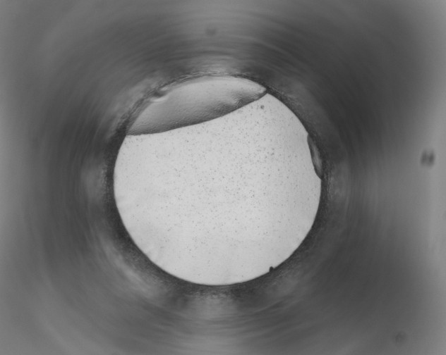 X0000115630304200912221255