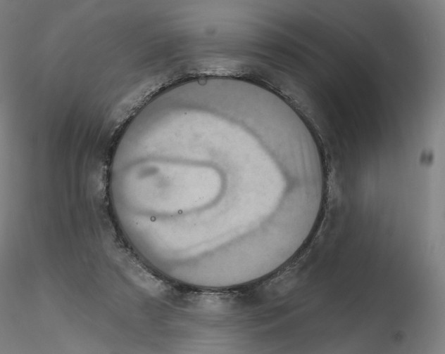 X0000115630305200912221255