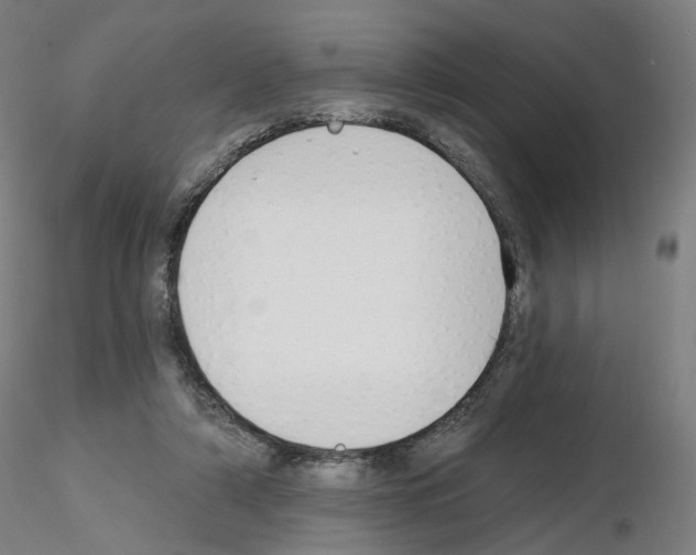 X0000115630306200912221255