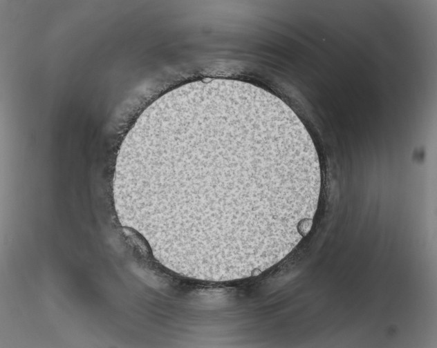 X0000115630307200912221255