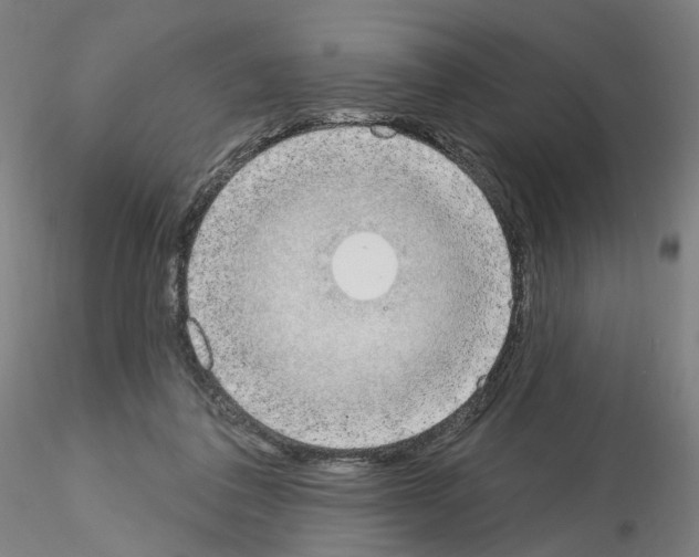 X0000115630308200912221255