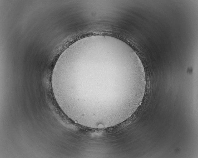 X0000115630309200912221255