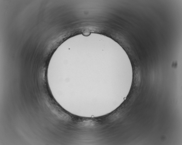 X0000115630310200912221255