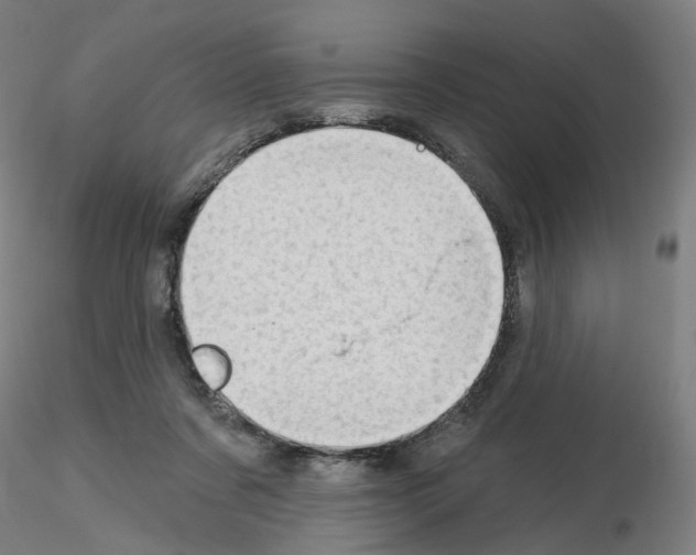 X0000115630311200912221255