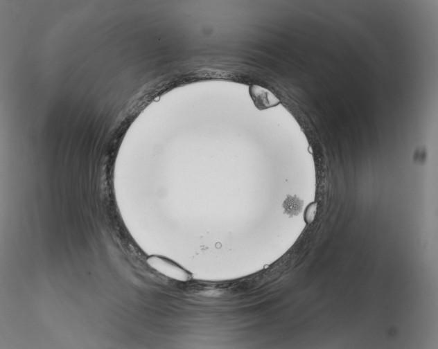 X0000115630312200912221254