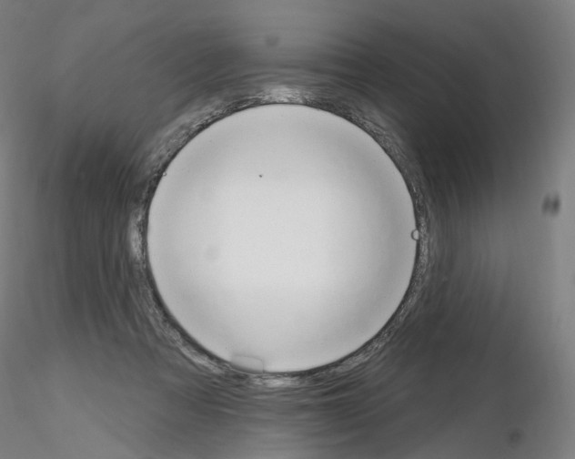 X0000115630313200912221254