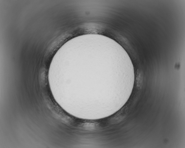X0000115630314200912221254