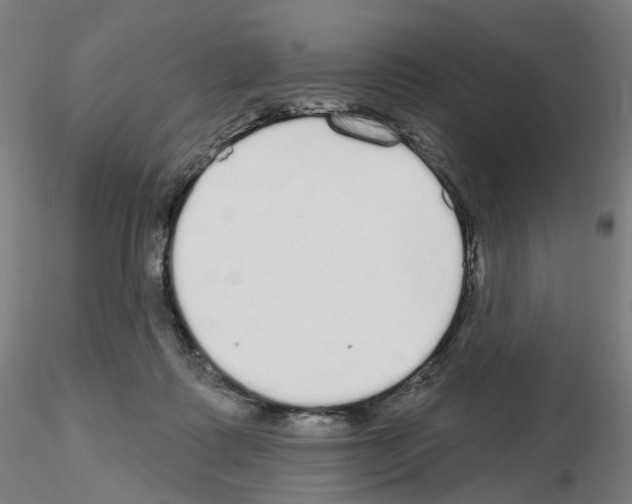 X0000115630315200912221254