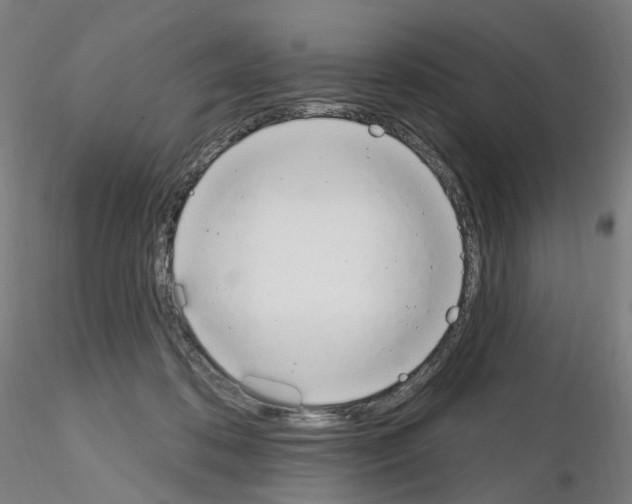 X0000115630316200912221254