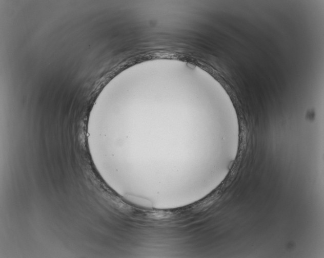 X0000115630317200912221254