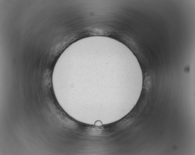 X0000115630318200912221254