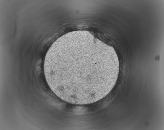 X0000115630319200912221254