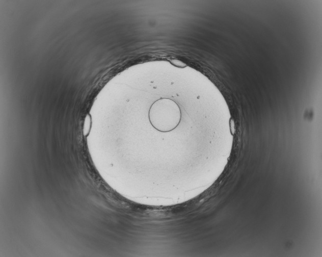 X0000115630320200912221254