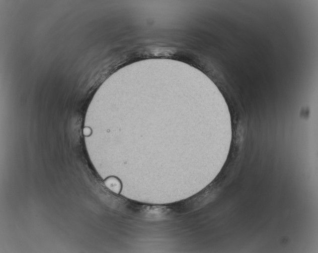 X0000115630321200912221254