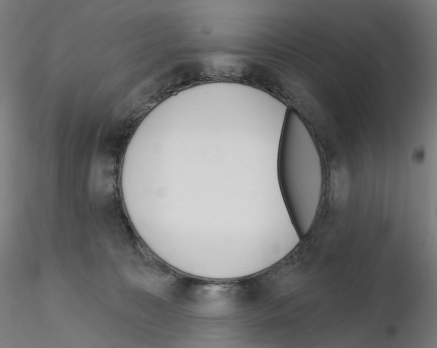 X0000115630323200912221254