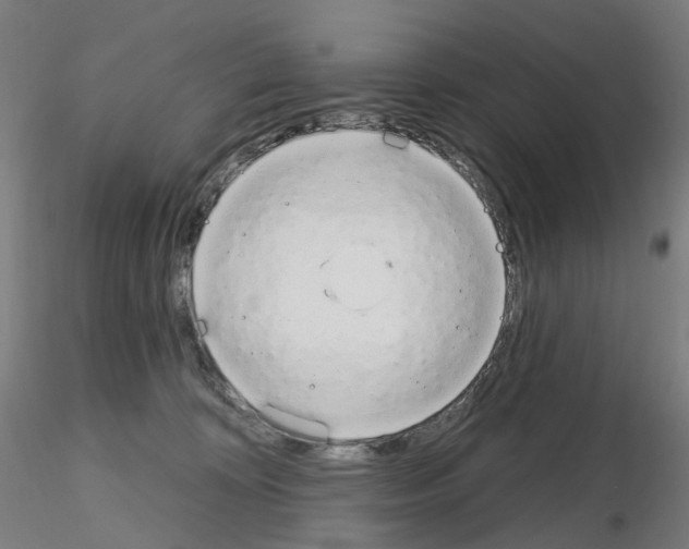 X0000115630324200912221254