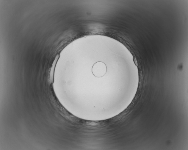 X0000115630325200912221254