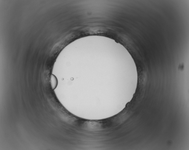 X0000115630327200912221254
