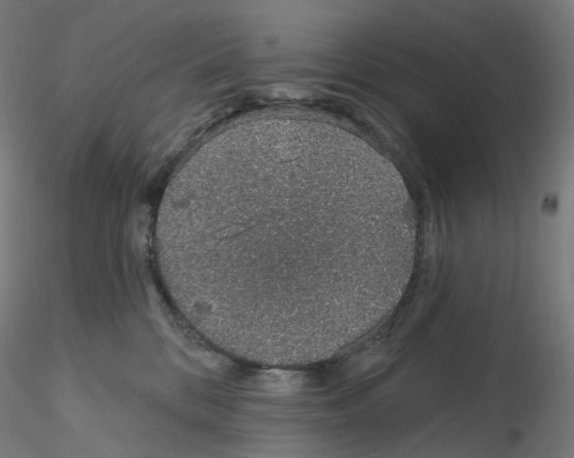 X0000115630328200912221254
