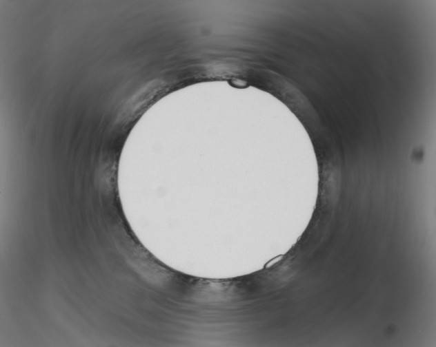 X0000115630329200912221254