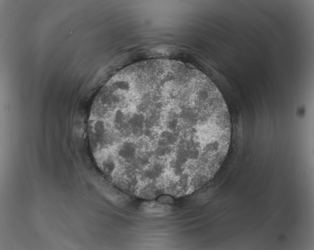 X0000115630331200912221254