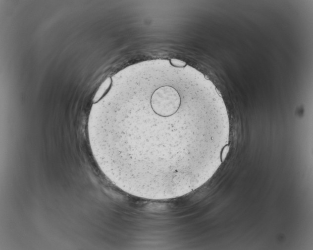 X0000115630332200912221254