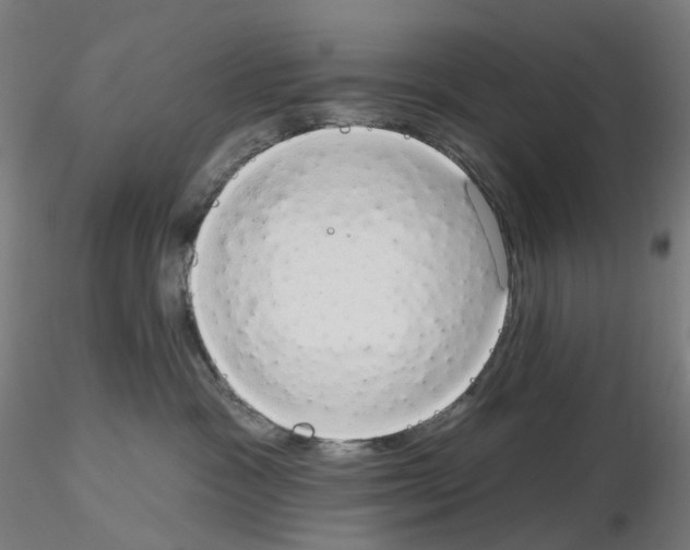 X0000115630333200912221254