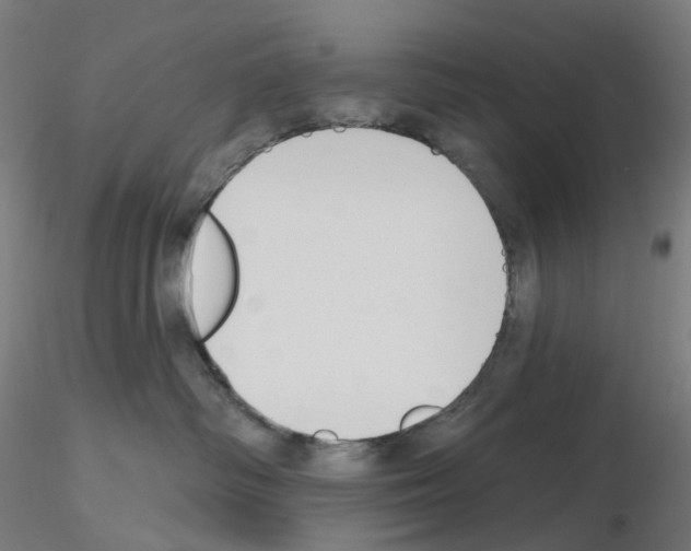 X0000115630334200912221254