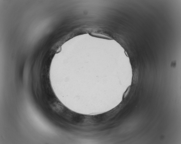 X0000115630335200912221254