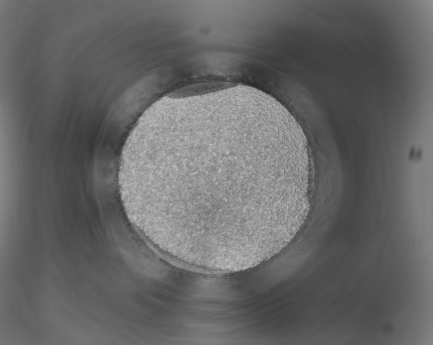 X0000115630336200912221254