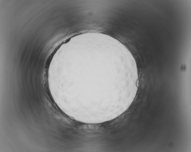 X0000115630338200912221254