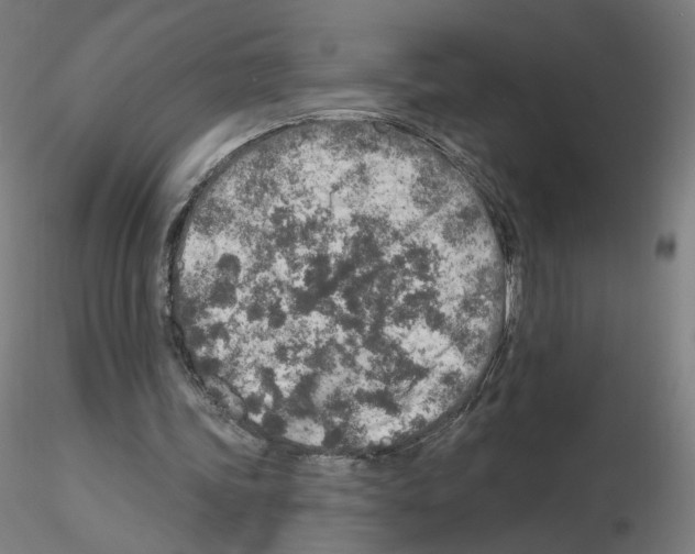 X0000115630339200912221254