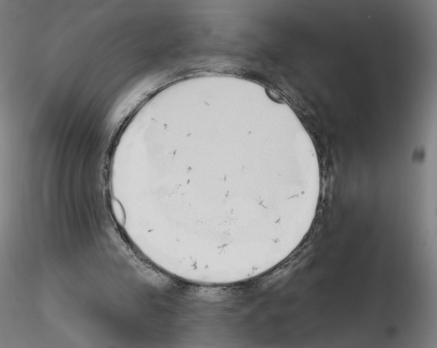 X0000115630341200912221254