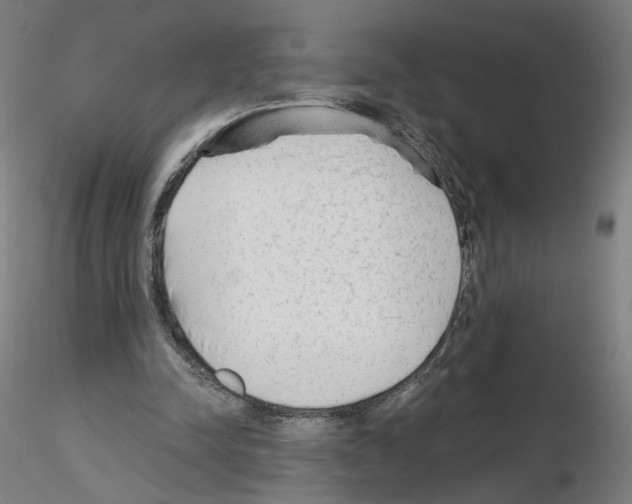 X0000115630342200912221254