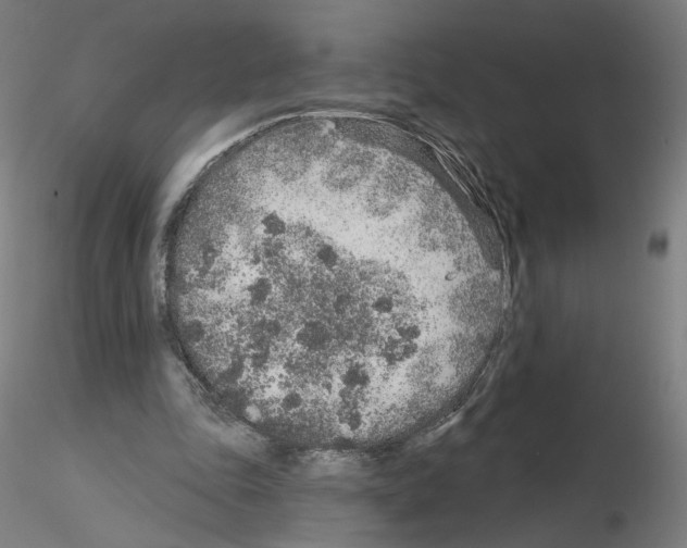 X0000115630343200912221254