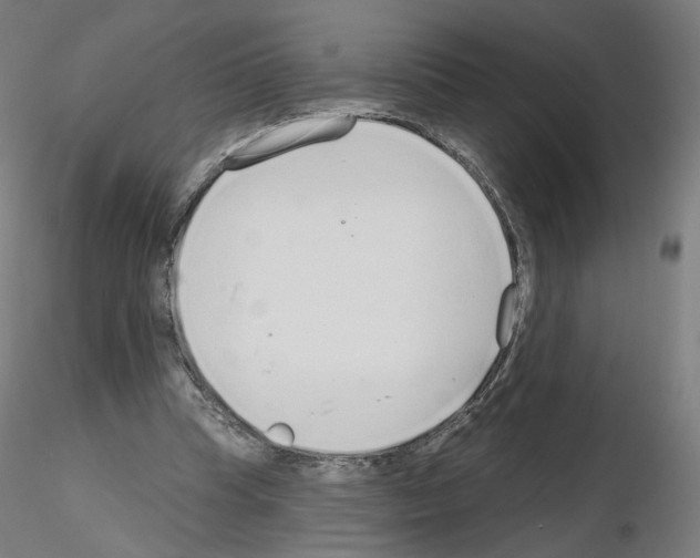 X0000115630345200912221254
