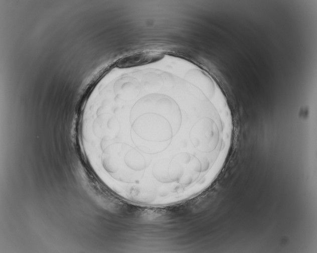 X0000115630346200912221254