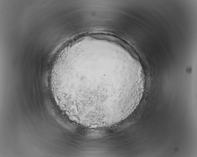 X0000115630347200912221254