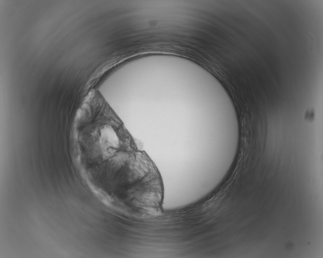 X0000115630349200912221254