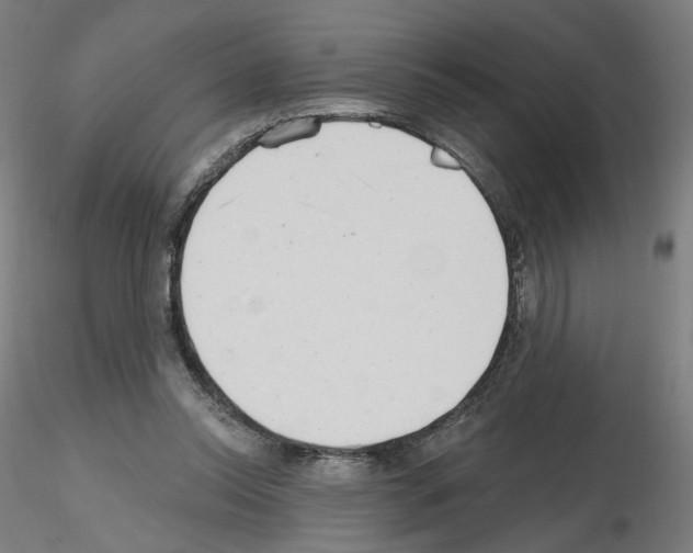 X0000115630350200912221254