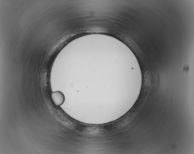 X0000115630351200912221254