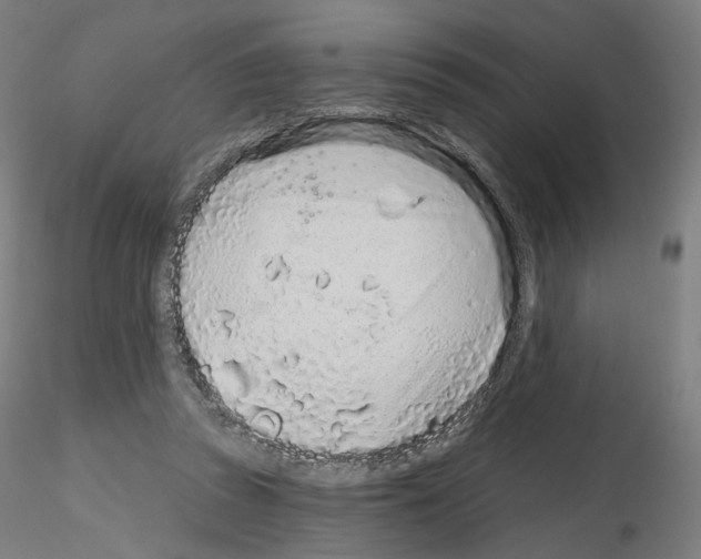 X0000115630353200912221254