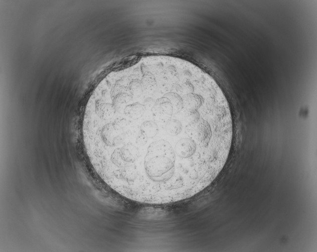 X0000115630354200912221254