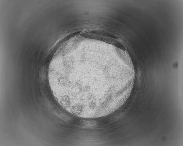 X0000115630355200912221254