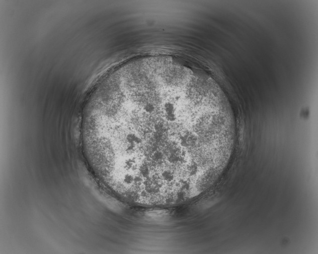 X0000115630357200912221254