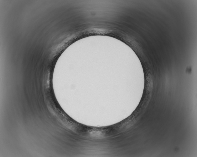 X0000115630358200912221254