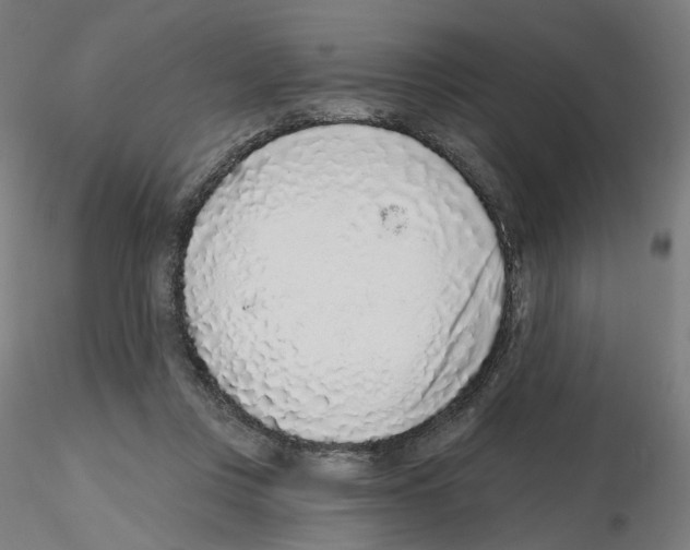 X0000115630359200912221254