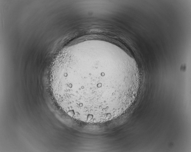 X0000115630361200912221254