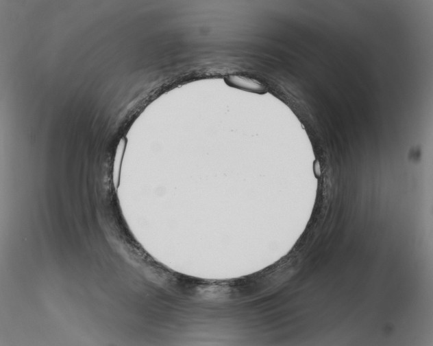 X0000115630362200912221254