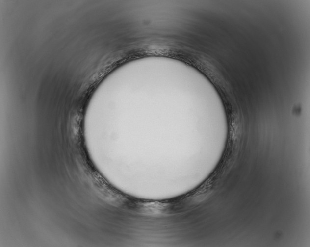 X0000115630363200912221254